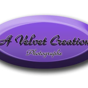 Profile picture for AVelvetCreation