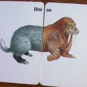 Profile picture for Blaise Chatelain