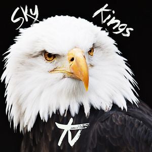 Profile picture for SkyKingsTV