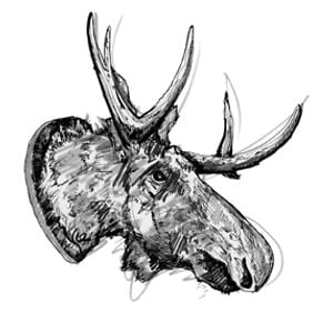 Profile picture for The Kenton