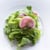 FarmFreshCulinary