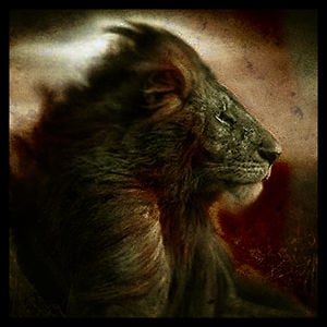 Profile picture for GrunfD