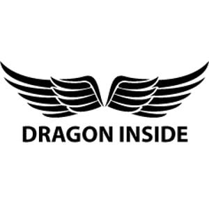 Profile picture for Dragon Inside