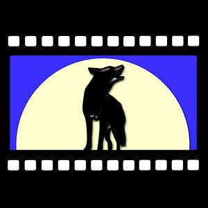 Profile picture for DingoDogFilms