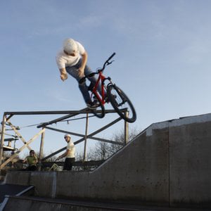 Profile picture for willi gwildies