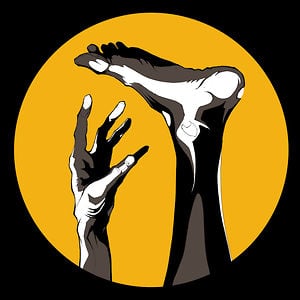 Profile picture for Fine Cut Bodies
