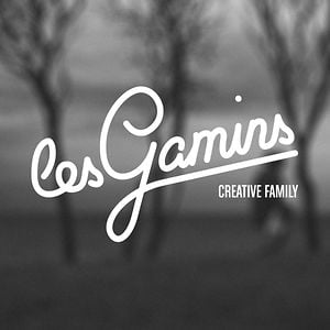 Profile picture for lesgamins