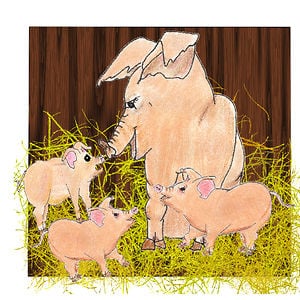 Profile picture for Susan Rooker