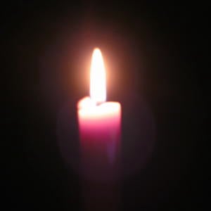 Profile picture for Coleen LeDrew Elgin