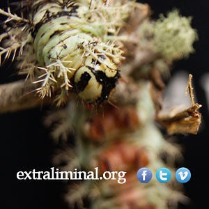 Profile picture for Extraliminal