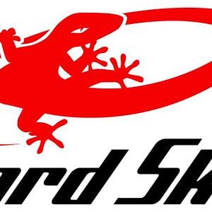 Profile picture for Lizard Skins