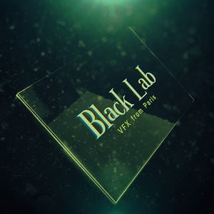 Profile picture for Black Lab