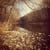 Ozarks Outdoor Productions