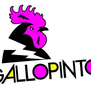 Profile picture for GalloPinto TV