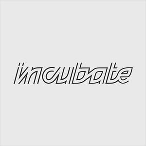 Profile picture for Incubate Festival