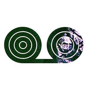 Profile picture for looplinerecords
