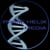 Prime Helix Media LLC