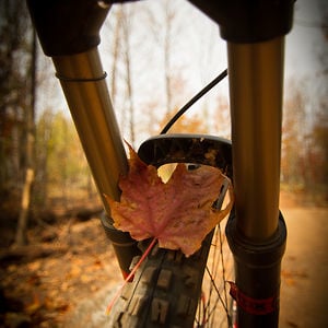 Profile picture for Singletrack Trails
