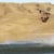 Scotty Broome