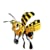 Bee Media Production