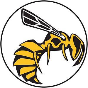 Profile picture for Yellow Jacket