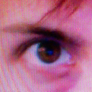 Profile picture for Taylor Shechet