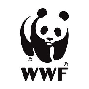 Profile picture for WWF