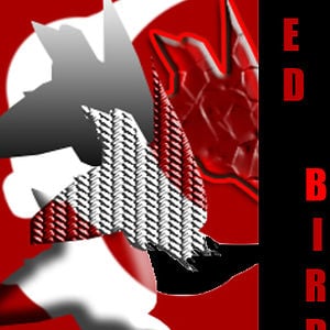 Profile picture for RED BIRD CHANNEL