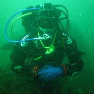 Profile picture for Stuart Webb