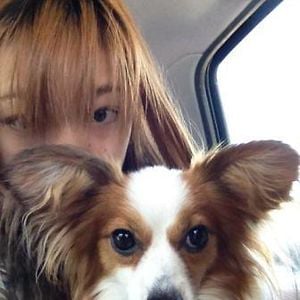 Profile picture for Natsuko Murayama