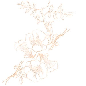 Profile picture for Rebecca Goddard