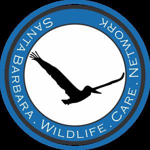 Profile picture for SBWCN