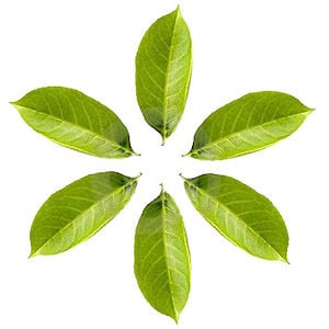 Profile picture for momentstock