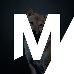 Profile picture for MOVING/PICTURES