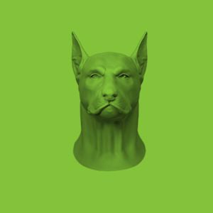 Profile picture for gokayozaydiner
