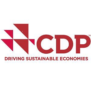 Profile picture for CDP