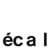 ECAL
