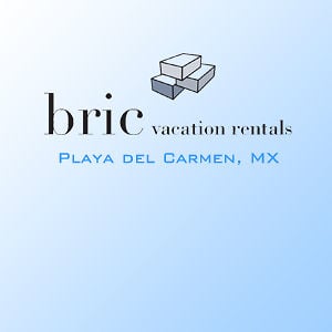 Profile picture for BRIC Vacation Rentals