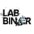 LAB BINÆR