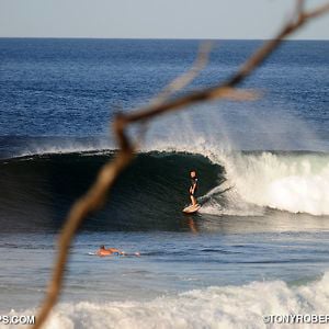Profile picture for Real Surf Trips