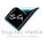 SG Digital Media