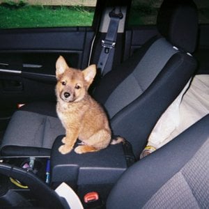 Profile picture for nick dakota