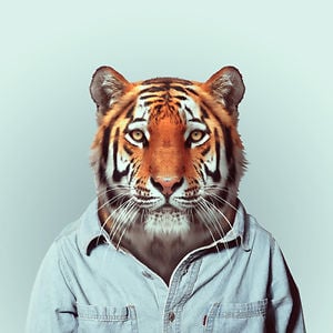 Profile picture for Shern Sharma