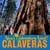 GoCalaveras