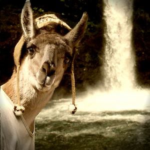 Profile picture for Jose Lobo
