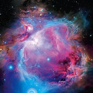 Profile picture for The Collective Conscious