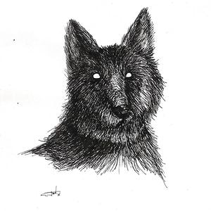 Profile picture for Juan Loup