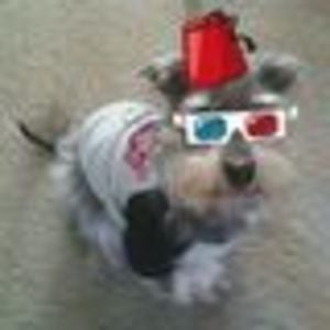 Profile picture for Dominick Cericola