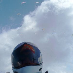 Profile picture for Dominique Pellet