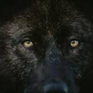 Profile picture for Fernando Costa